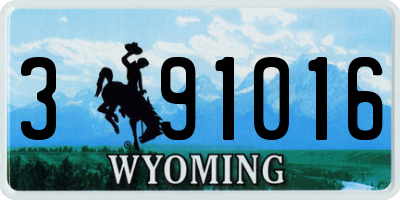 WY license plate 391016