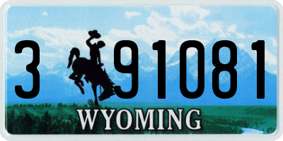 WY license plate 391081