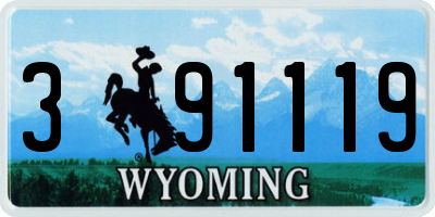 WY license plate 391119