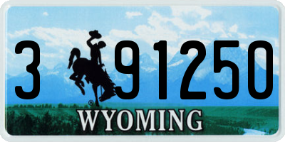 WY license plate 391250