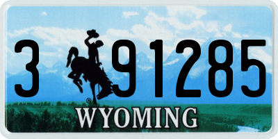 WY license plate 391285