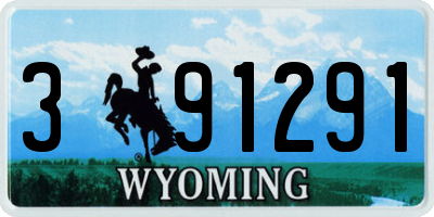 WY license plate 391291