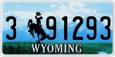 WY license plate 391293