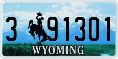 WY license plate 391301