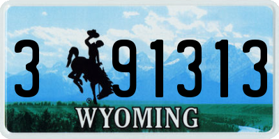 WY license plate 391313