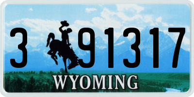 WY license plate 391317