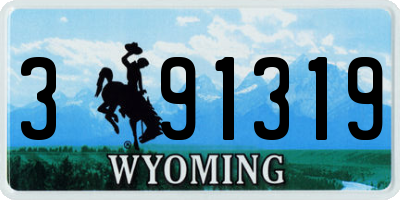 WY license plate 391319