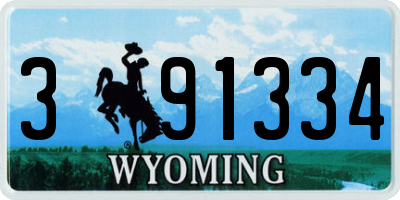 WY license plate 391334