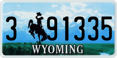 WY license plate 391335