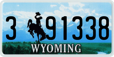 WY license plate 391338