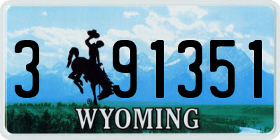WY license plate 391351