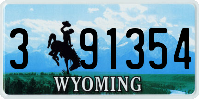 WY license plate 391354