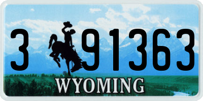 WY license plate 391363