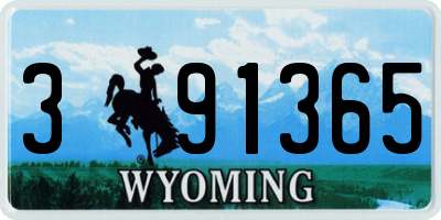 WY license plate 391365