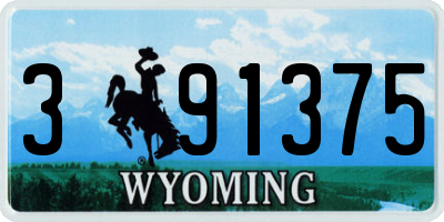 WY license plate 391375