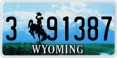 WY license plate 391387