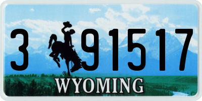 WY license plate 391517