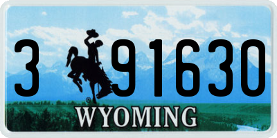 WY license plate 391630