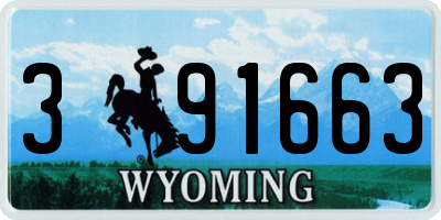 WY license plate 391663