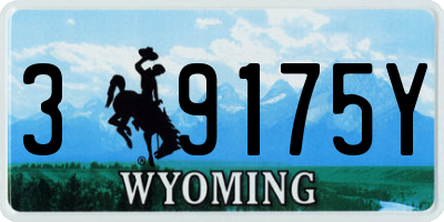 WY license plate 39175Y