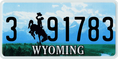 WY license plate 391783