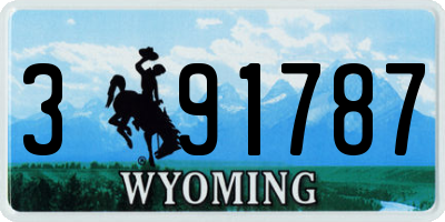 WY license plate 391787