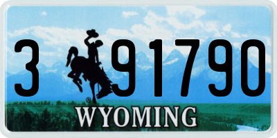 WY license plate 391790