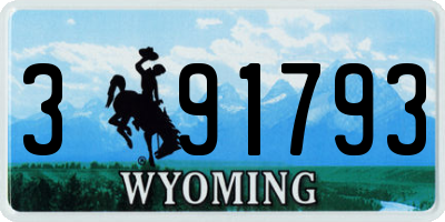 WY license plate 391793