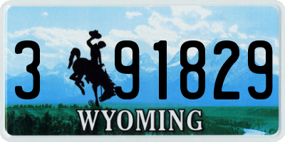 WY license plate 391829