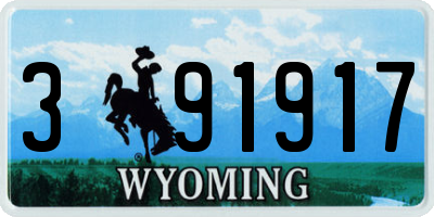 WY license plate 391917