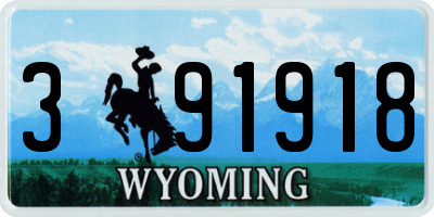 WY license plate 391918