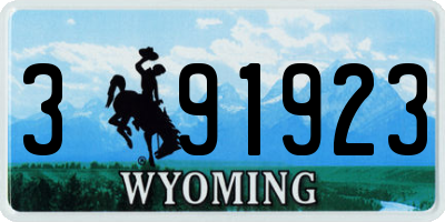WY license plate 391923