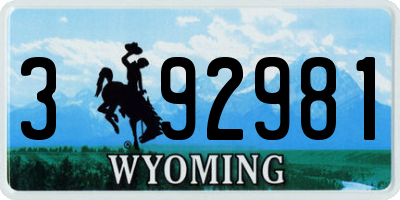 WY license plate 392981