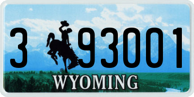 WY license plate 393001