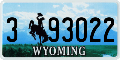 WY license plate 393022