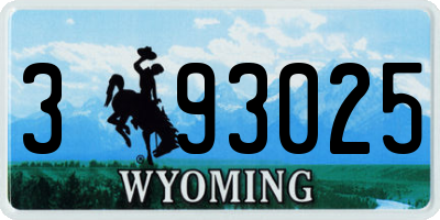WY license plate 393025