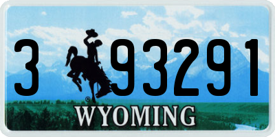 WY license plate 393291