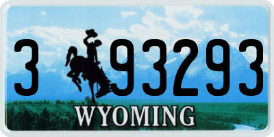 WY license plate 393293