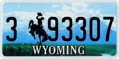 WY license plate 393307