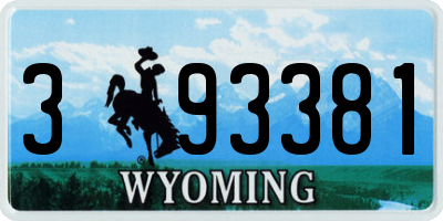 WY license plate 393381