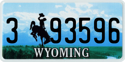WY license plate 393596