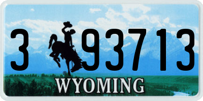 WY license plate 393713
