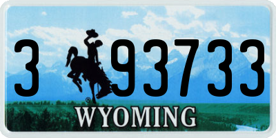 WY license plate 393733