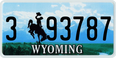 WY license plate 393787