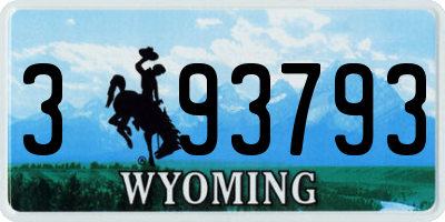 WY license plate 393793