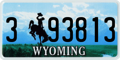 WY license plate 393813