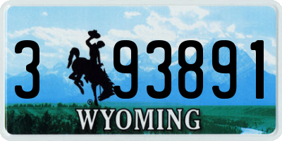WY license plate 393891