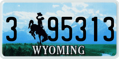 WY license plate 395313