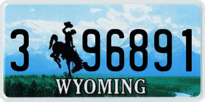 WY license plate 396891
