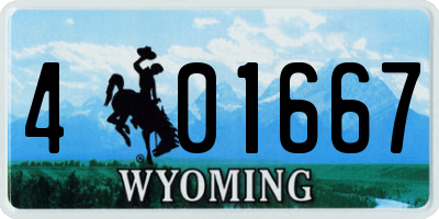 WY license plate 401667